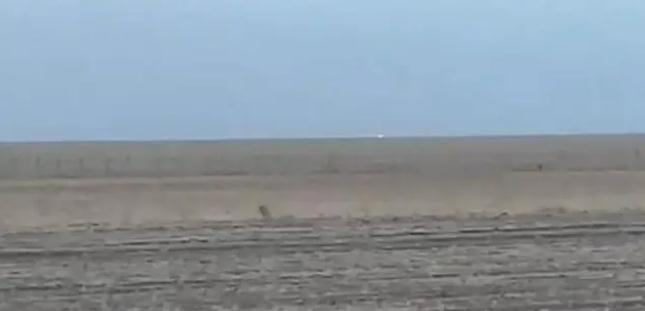 中蒙邊境線明火已被撲滅,為什么蒙古那么容易發(fā)生草原火災?