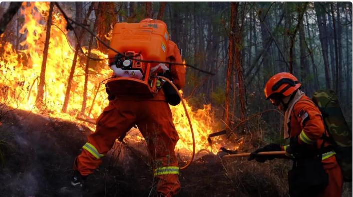 力量前置高?；痣U區，打好防范化解重大安全風險主動仗