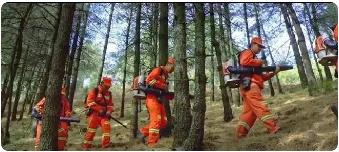 全市森林草原防火期結束，嵩明持續筑牢森林&ldquo;防火墻&rdquo;